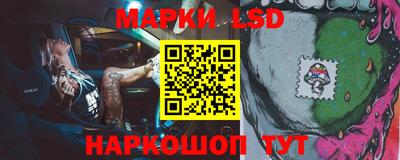 гидропоника Будённовск