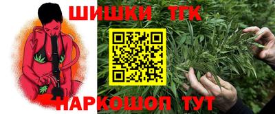 гидропоника Будённовск