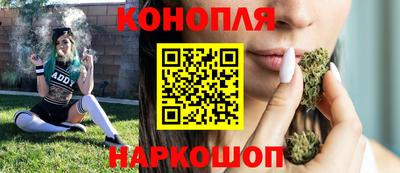 гидропоника Будённовск
