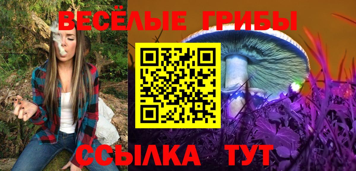 Галлюциногенные грибы Psilocybe Курск